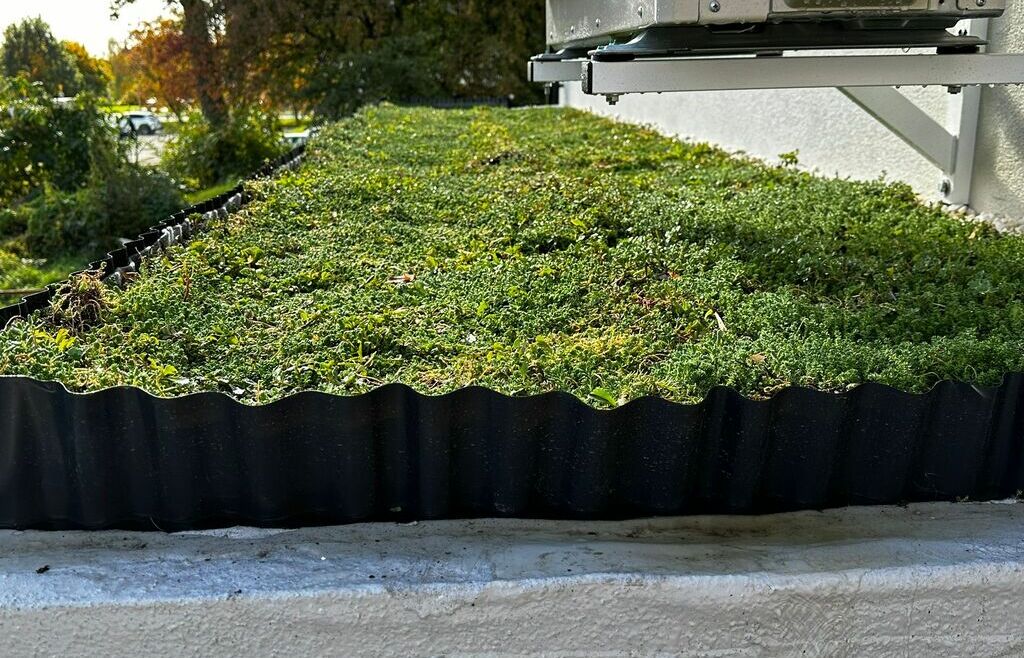 Dach zielony na daszku nad wejściem do domu – idealne rozwiązanie dekoracyjne i izolacyjne